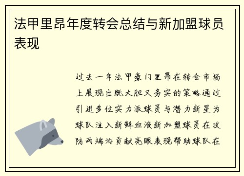 法甲里昂年度转会总结与新加盟球员表现